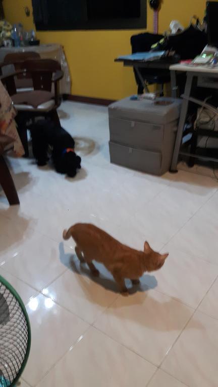 清迈巴恩度假屋 清邁 外观 照片